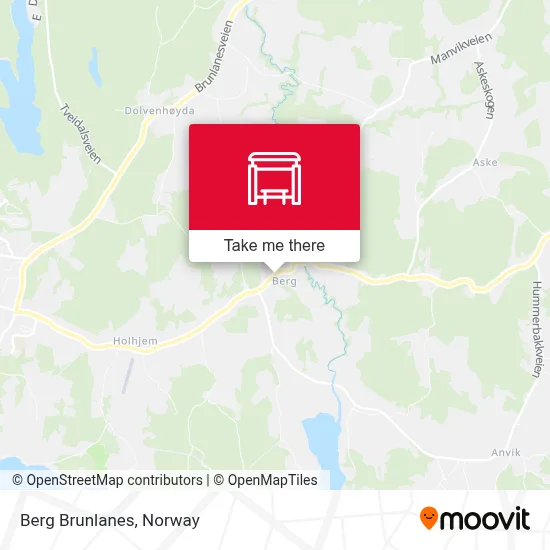 Berg Brunlanes map