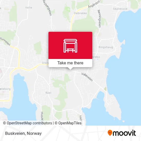 Buskveien map