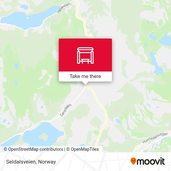 Seldalsveien map