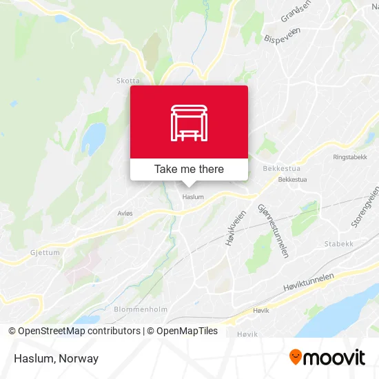 Haslum map