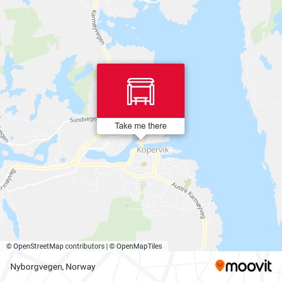 Nyborgvegen map