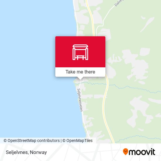 Seljelvnes map