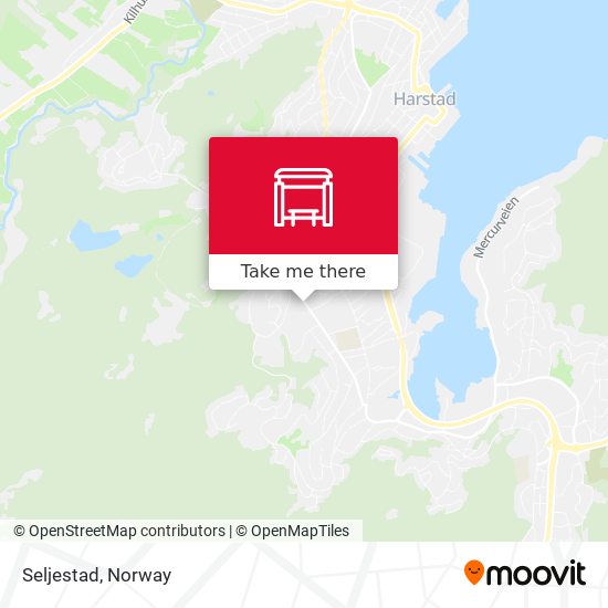 Seljestad map