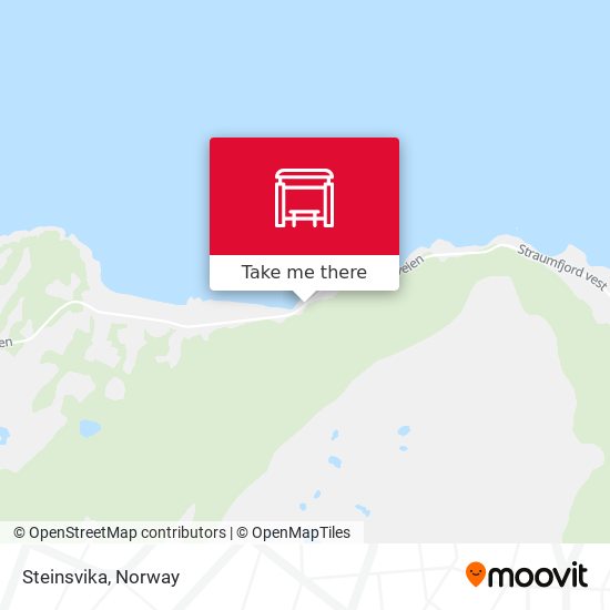 Steinsvika map