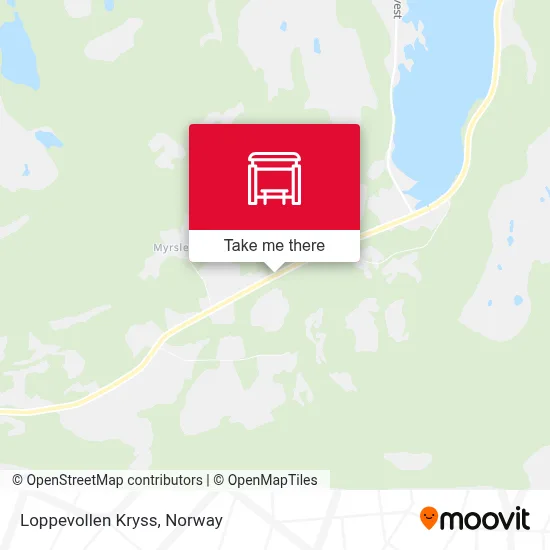 Loppevollen Kryss map