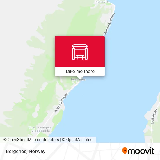 Bergenes map