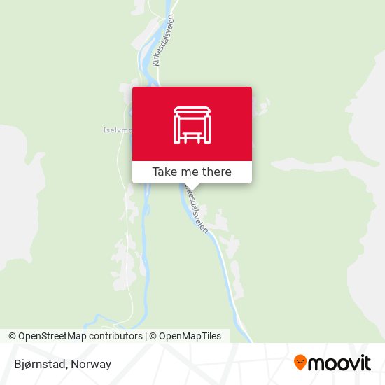 Bjørnstad map