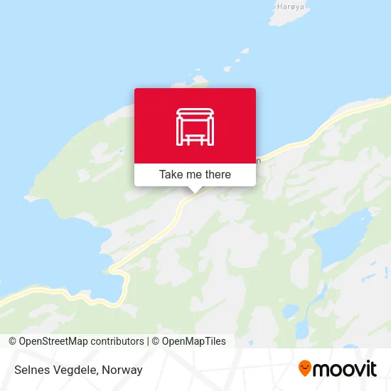 Selnes Vegdele map