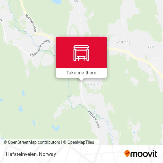 Hafsteinveien map