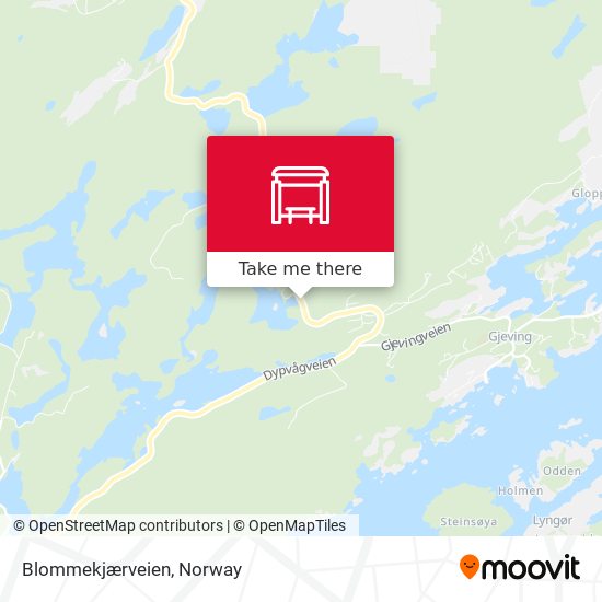 Blommekjærveien map