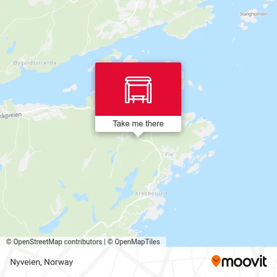 Nyveien map