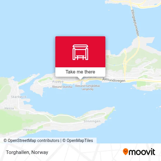 Torghallen map