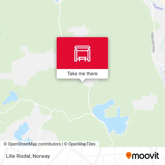Lille Risdal map