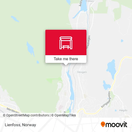 Lienfoss map