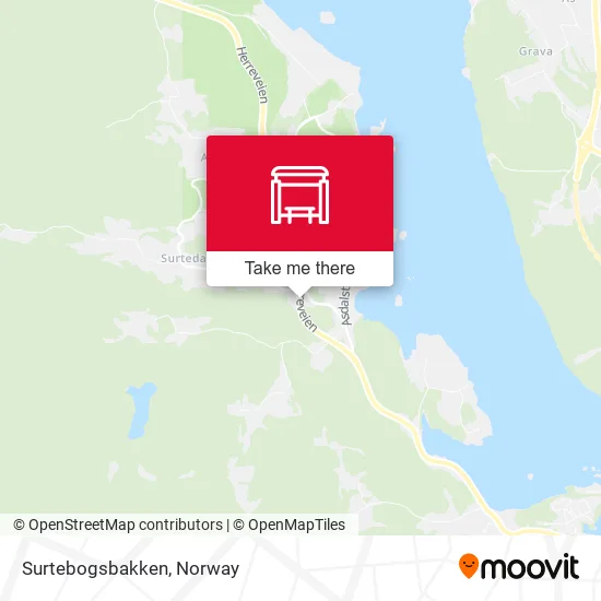 Surtebogsbakken map