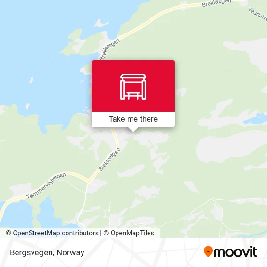 Bergsvegen map