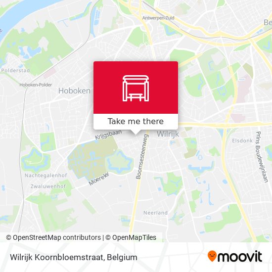 Wilrijk Koornbloemstraat map