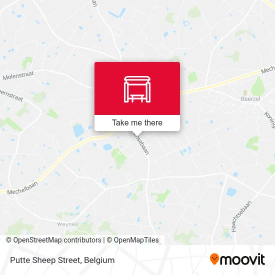 Putte Sheep Street map