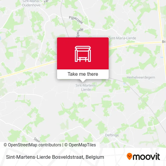 Sint-Martens-Lierde Bosveldstraat map