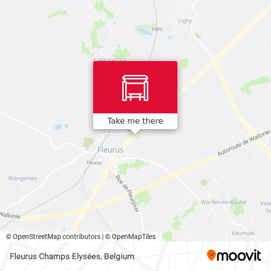 Fleurus Champs Elysées map