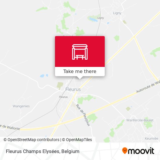 Fleurus Champs Elysées plan
