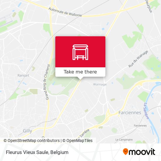 Fleurus Vieux Saule plan