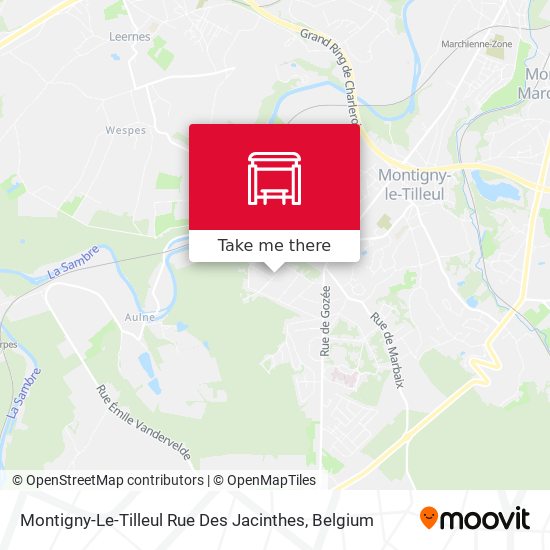 Montigny-Le-Tilleul Rue Des Jacinthes plan