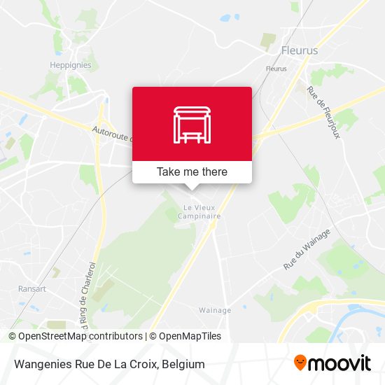 Wangenies Rue De La Croix plan
