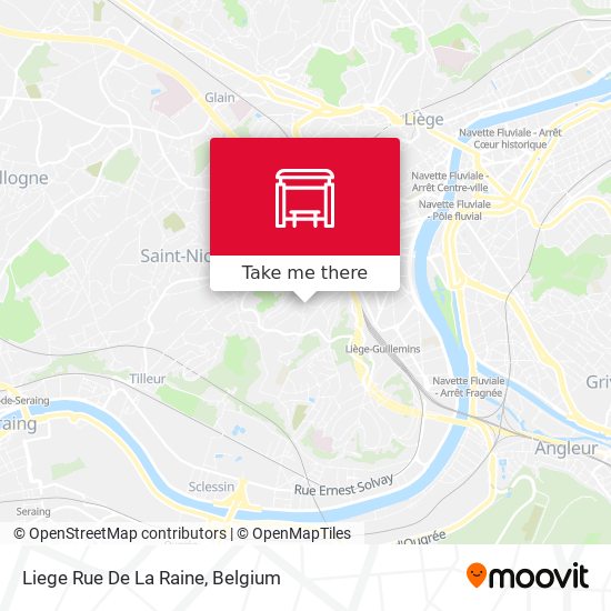 Liege Rue De La Raine map