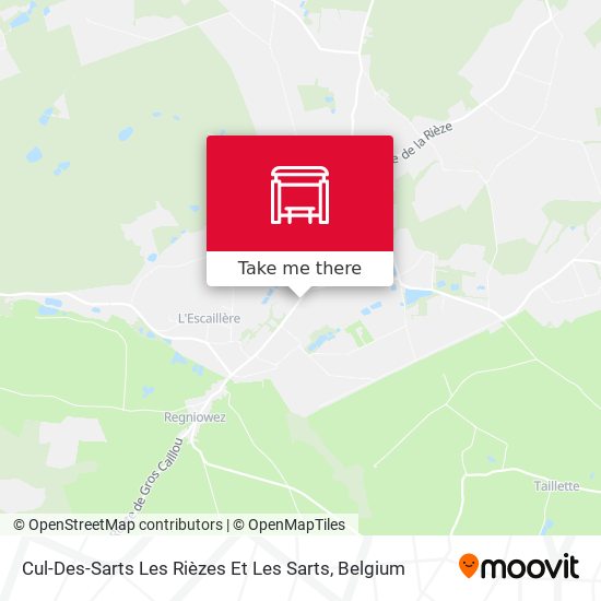 Cul-Des-Sarts Les Rièzes Et Les Sarts plan