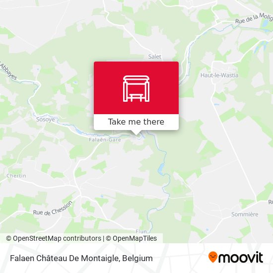 Falaen Château De Montaigle map