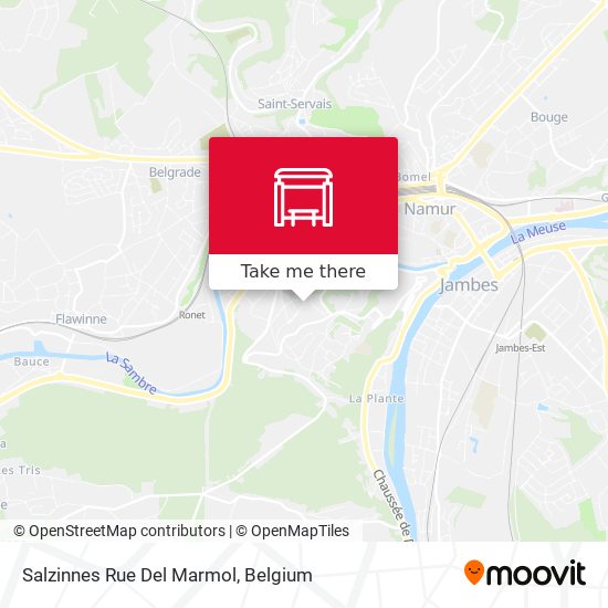 Salzinnes Rue Del Marmol map