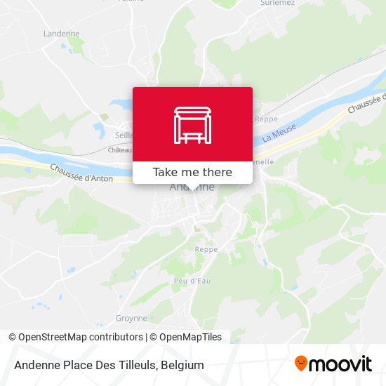 Andenne Place Des Tilleuls map