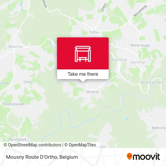 Mousny Ortho Road map