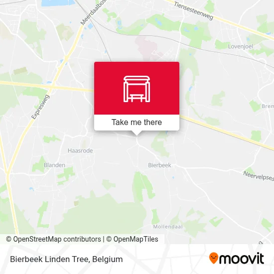 Bierbeek Linden Tree map