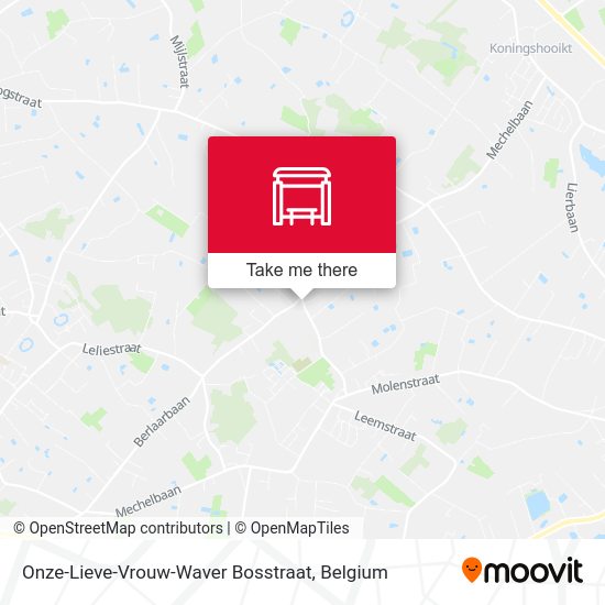 Onze-Lieve-Vrouw-Waver Bosstraat map