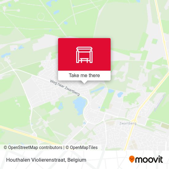 Houthalen Violierenstraat map