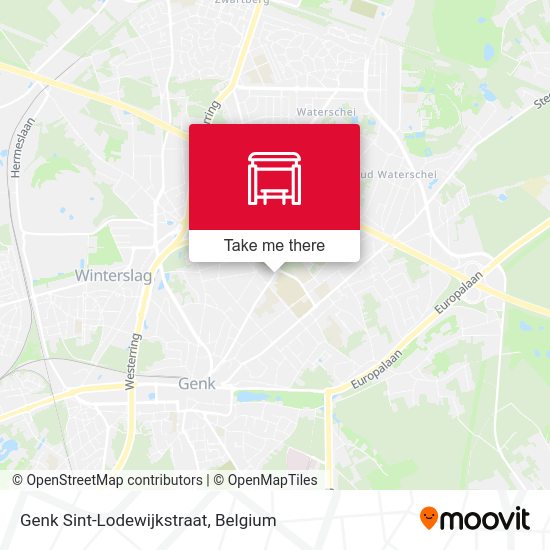 Genk Sint-Lodewijkstraat plan