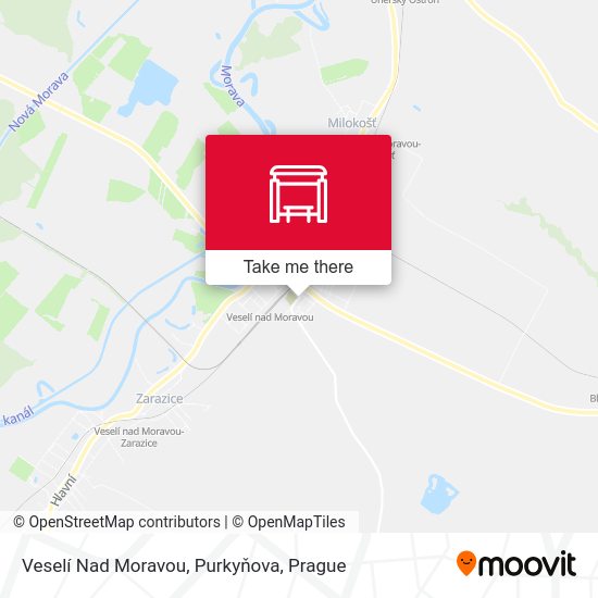 Veselí Nad Moravou, Purkyňova map