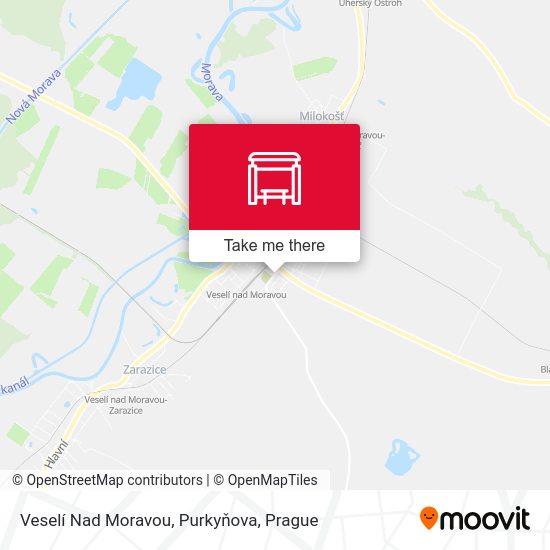 Veselí Nad Moravou, Purkyňova map