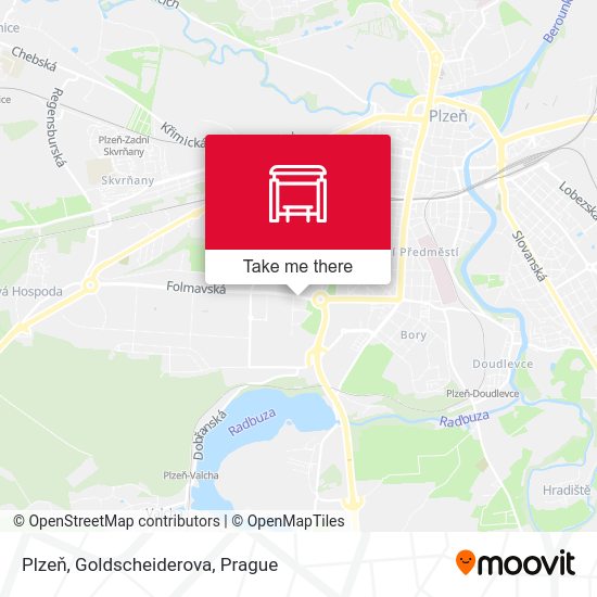 Plzeň, Goldscheiderova map