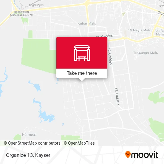 Organize 13 map