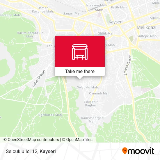 Selcuklu Ici 12 map