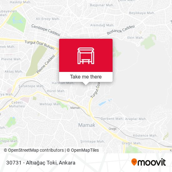 30731 - Altıağaç Toki map