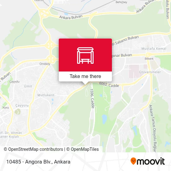 10485 - Angora Blv. map