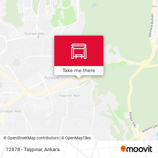 12878 - Taşpınar map