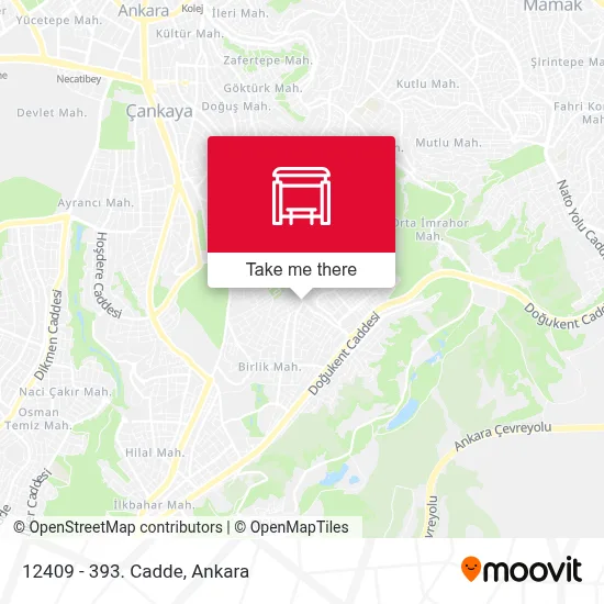 12409 - 393. Cadde map