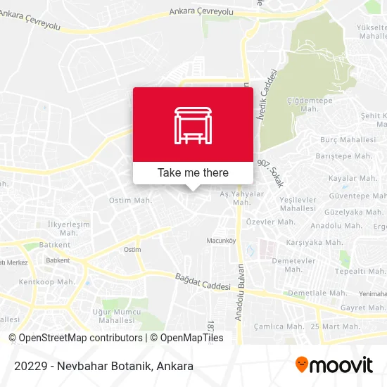 20229 - Nevbahar Botanik map