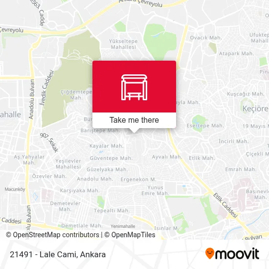 21491 - Lale Cami map