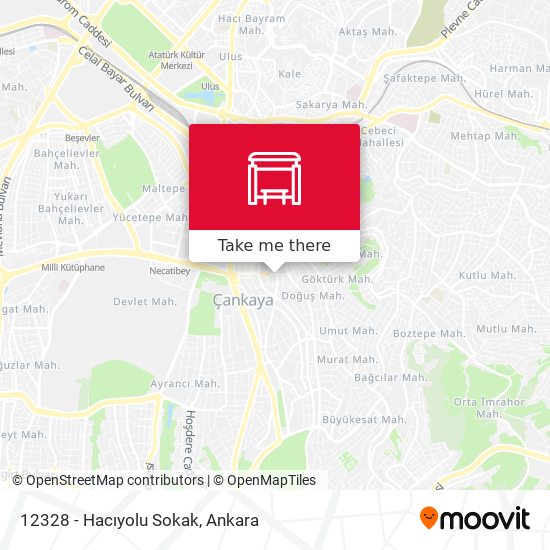 12328 - Hacıyolu Sokak map